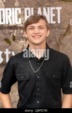 Century City, Ca. 15th May, 2022. Hank Chen, Los Angeles Premiere Of