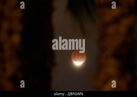 Las Vegas Nevada, USA. 15th May, 2022. The Earth's shadow almost totally obscures the view of the so-called Super Flower Blood Moon during a total lunar eclipse Sunday, May, 15, 2022, in Las Vegas, Nevada. The next lunar eclipse will take place on Nov. 8, 2022 and will be visible at least partially from Asia, Australia, North America, parts of northern and eastern Europe. (Credit Image: © David Becker/ZUMA Press Wire) Stock Photo