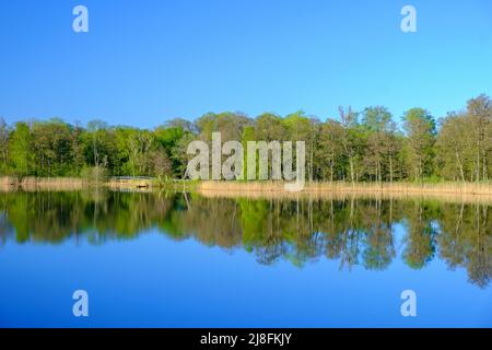 Lake with beautiful reflections in the spring Stock Photo