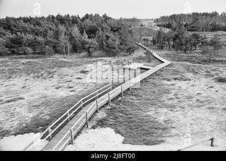 Hiking trail in black and white, over a wooden walkway to the high dune on the darss. National Park in Germany. Nature photo Stock Photo