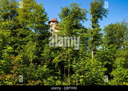 Reichenstein Castle (Arlesheim)  in the municipality of Arlesheim in the canton of Basel-Land in Switzerland. Stock Photo