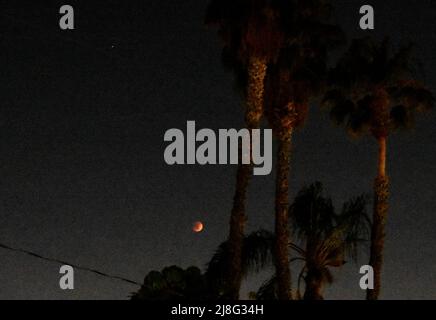 Los Angeles, California, USA 15th May 2022 Blood Red Flower Moon Eclipse on May 15, 2022 in Los Angeles, California, USA. Photo by Barry King/Alamy Stock Photo Stock Photo