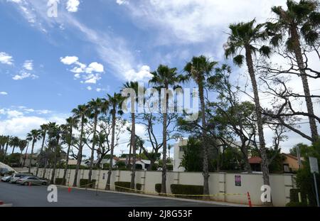 Los Angeles, California, USA 15th May 2022 A general view of atmosphere of Palm Trees on May 15, 2022 in Los Angeles, California, USA. Photo by Barry King/Alamy Stock Photo Stock Photo