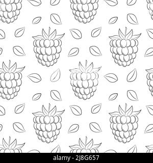 Monochrome black white fruit seamless pattern. Hand-drawn raspberries, blackberries. Simple outline background for web design, product packaging, napk Stock Vector