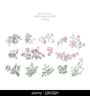 Wedding invitation floral set. Fuchsia Rose Chrisanthemum and wildflowers in pastel colors. Stems, leaves, flowers on white background. Vector illustr Stock Vector
