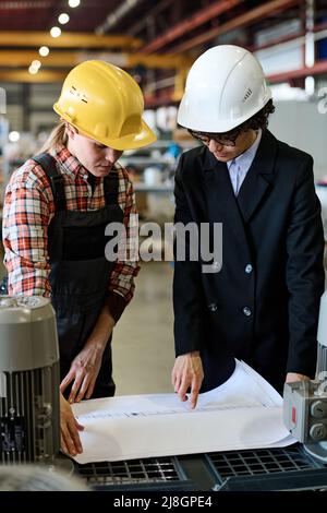 Two young factory workers in hardhats bending over unrolled blueprint while discussing sketch of construction or product at meeting Stock Photo
