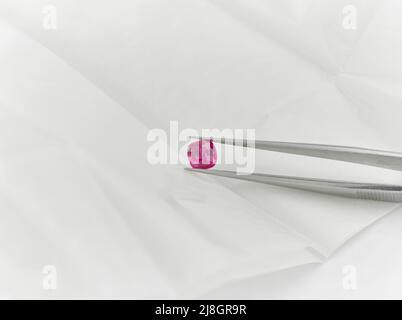 Cushion Cut Ruby Gemstone on White Parcel Paper Background Held in Tweezers Stock Photo