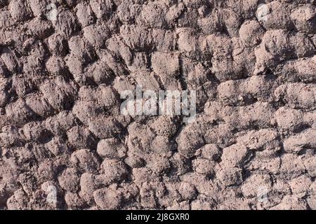 Dirt wall texture background. Dry barren terrain mud design element Stock Photo