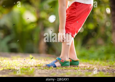 Mosquito on kids skin. Little boy attacked by mosquitoes in tropical forest. Insect repellent. Malaria and dengue fever prevention. Stock Photo