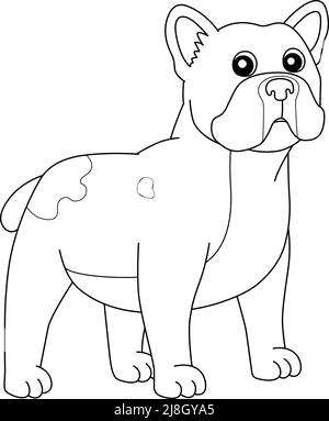 bulldong coloring pages