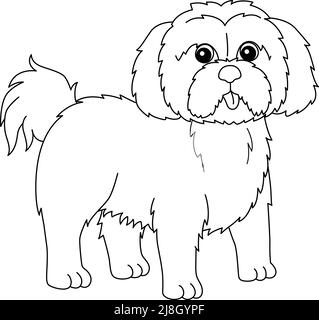 Shih Tzu Dog Coloring Page for Kids Stock Vector Image & Art - Alamy