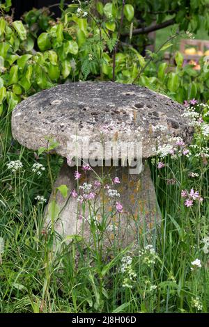 Staddle stone in long grass. England Stock Photo