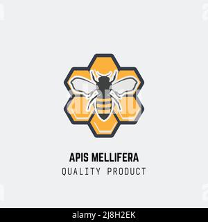 Bee realistic honeycomb emblem Stock Vector