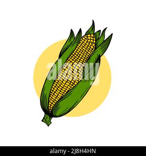 A sweet corn ear corn retro vintage style illustration Stock Vector