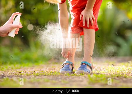 Mosquito on kids skin. Little boy attacked by mosquitoes in tropical forest. Insect repellent. Malaria and dengue fever prevention. Stock Photo