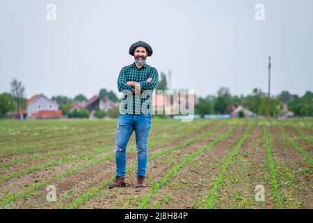 Happy farmer is standing in his growing corn field. Stock Photo