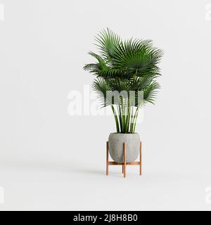 3d illustration of concrete houseplants isolated on white background Stock Photo
