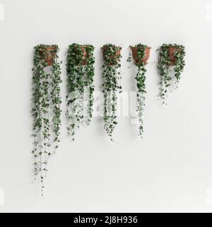 3d illustration of terracotta wall plants collection isolated on white background Stock Photo