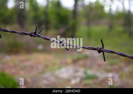 Wire mesh in the orchard. Rusty wire mesh, closeup. Stock Photo