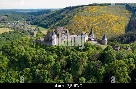 Castle Bourscheid, medieval castle complex at Bourscheid, Diekirch district, Ardennes, Luxembourg, Europe, Stock Photo