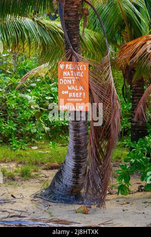 Makua or Tunnels beach, Haena, North shore of Kauai Stock Photo - Alamy