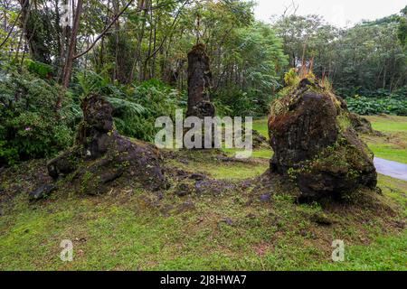 Lava Tree State Monument on the slopes of the Kilauea volcano in the southeast of the Big Island of Hawaii, United States Stock Photo