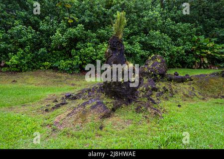 Lava Tree State Monument on the slopes of the Kilauea volcano in the southeast of the Big Island of Hawaii, United States Stock Photo