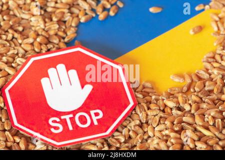 Wheat grains on the yellow and blue flag of Ukraine with a stop sign, Ukrainian grain crisis, global hunger crisis concept due to war Stock Photo