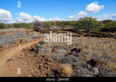 Ruins field in the Lapakahi State Historical Park on the island of Hawai'i (Big Island) in the Pacific Ocean Stock Photo