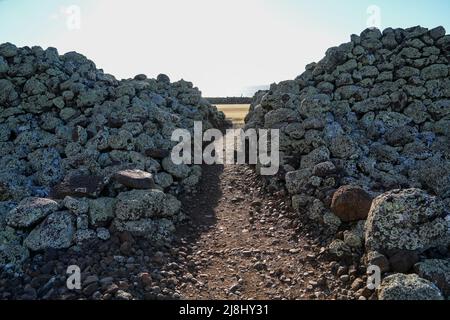 Mo'okini Heuiau in the north of Big Island, Hawaii - Ruins of a temple of the Hawaiian religion in the Kohala Historical Sites State Monument near Upo Stock Photo