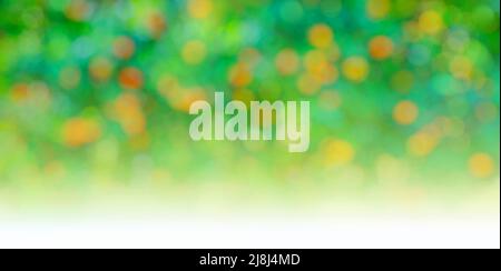 Orange trees garden, green and orange bokeh. Blurred nature background Stock Photo