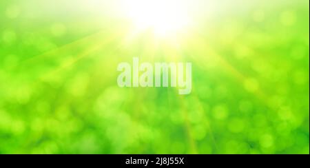 Green and yellow nature bokeh with sunshine, abstract background Stock Photo