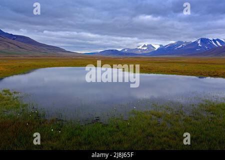 Norway typical landscape with lake and mountain. Landscape near Longyearbyen, Svalbard. Dark day in summer. Grey clouds on the sky. Grass with water. Stock Photo