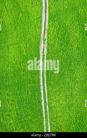 Unpaved countryside road across green field, drone view from directly above Stock Photo