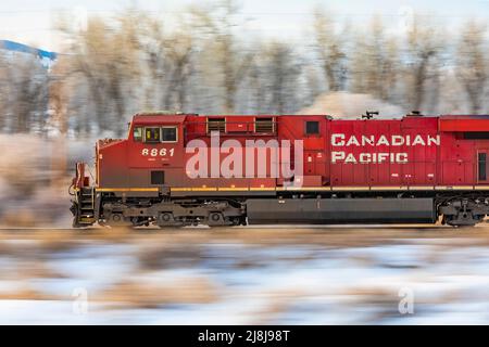 BNSF coal train fronted by a Canadian Pacific locomotive speeding through wintry Montana, USA [No property release; editorial licensing only] Stock Photo