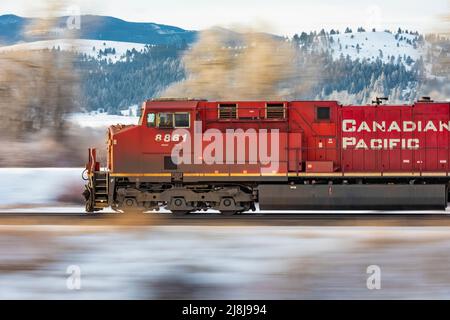 BNSF coal train fronted by a Canadian Pacific locomotive speeding through wintry Montana, USA [No property release; editorial licensing only] Stock Photo