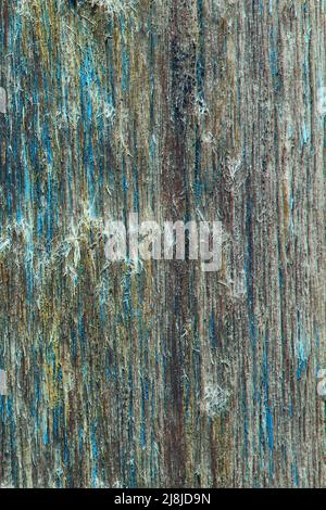 Abstract blurred wood background. Dirty obsolete vintage rustic shabby wood background. Light wood texture background. Old painted stained surface of Stock Photo