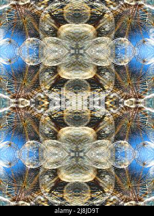 Abstract unobtrusive pattern. Seamless background in blue, pastel colors. A pattern of dandelion seeds in a mirror image, the effect of a kaleidoscope Stock Photo