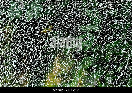 broken safety glass pane Stock Photo