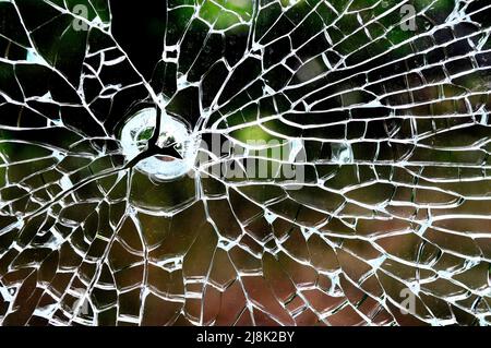 broken safety glass pane Stock Photo