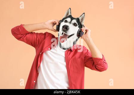 Music for huskies shops