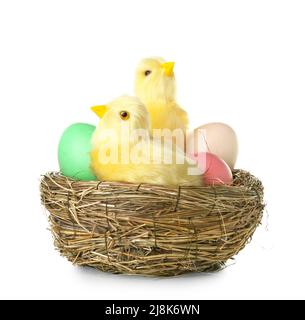 Cute yellow chickens and Easter eggs in nest on white background Stock Photo