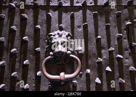 Wrought iron door handle with gothic and medieval lion's head Stock Photo