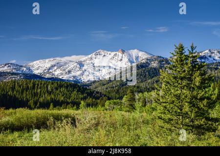 centennial mountains along the continental divide near red rock pass ...