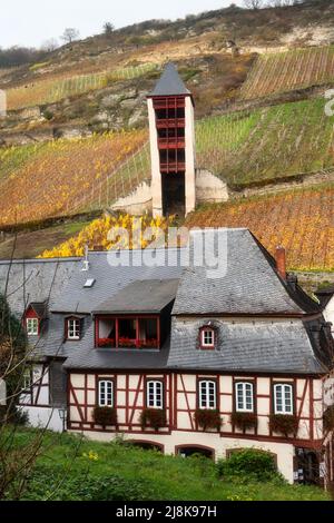 Postenturm, post tower, behind houses in a vineyard on a fall day in Bacharach, Germany. Stock Photo