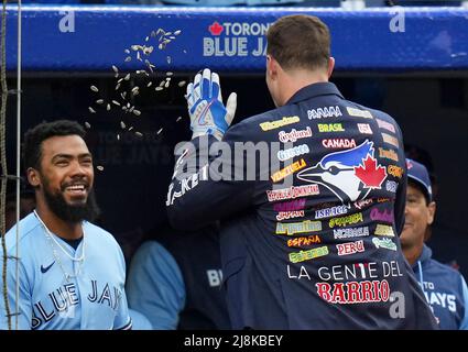 Seattle Mariners' Teoscar Hernandez holds a trident in the dugout as  teammates throw seeds at him to celebrate his solo home run against the  Kansas City Royals during the second inning of