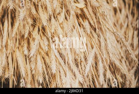 Close-up of dry hay, background. Sale for entire autumn collection, incredible discounts and wonderful choice. An autumn holiday in the farm Stock Photo