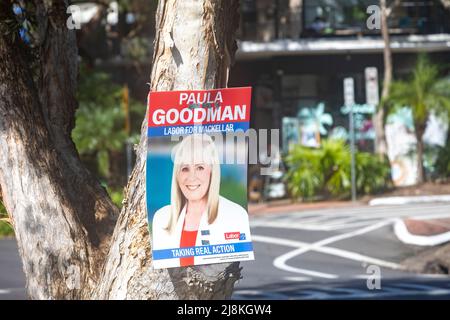 Australian Federal election 2022, Labour candidate for the seat of Mackellar in New South Wales, displays one of her corflute posters in Avalon Beach Stock Photo