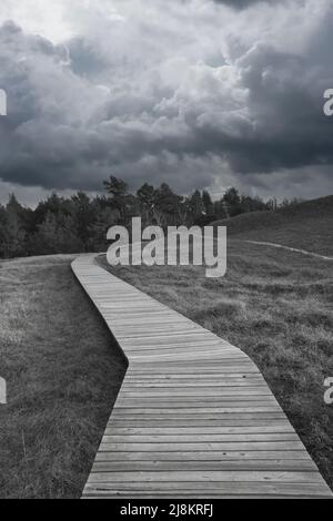 Hiking trail in black and white, over a wooden walkway to the high dune on the Darß. National park in Germany. Nature photo Stock Photo