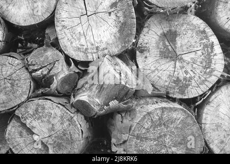 Monochrome stacked pile of firewood logs Stock Photo